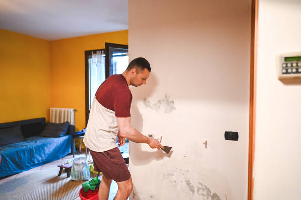 Best Mold Remediation  in Palm Springs North, FL